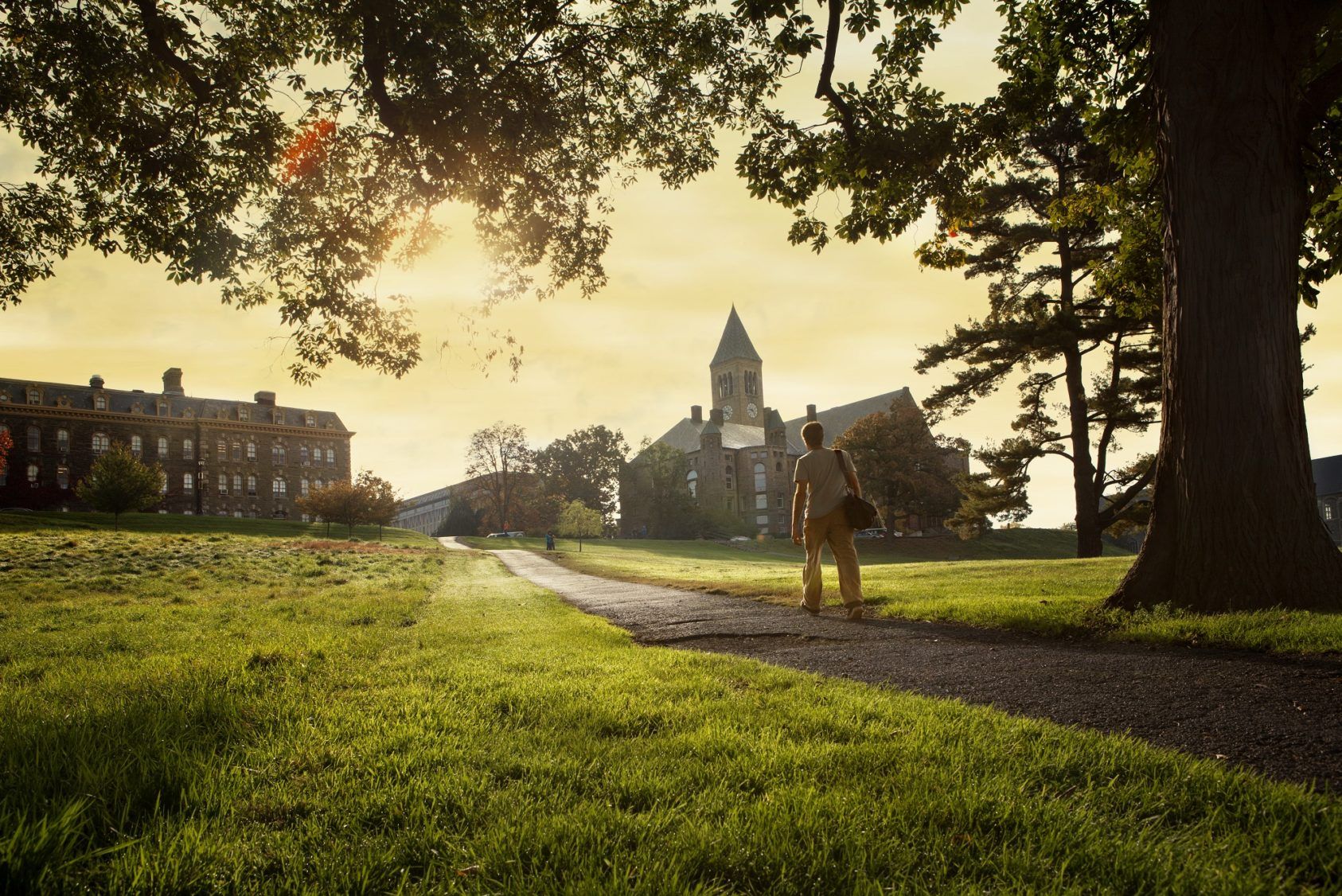 Cornell's investment office looks forward Giving to Cornell Cornell