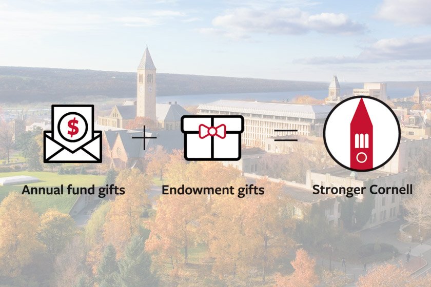 Annual fund gifts plus endowment gifts make a stronger Cornell