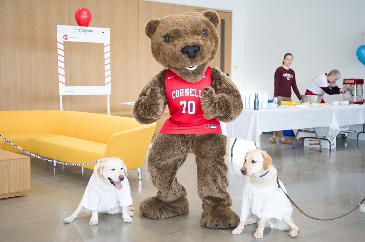 The Big Red Bear with two "giving dogs"