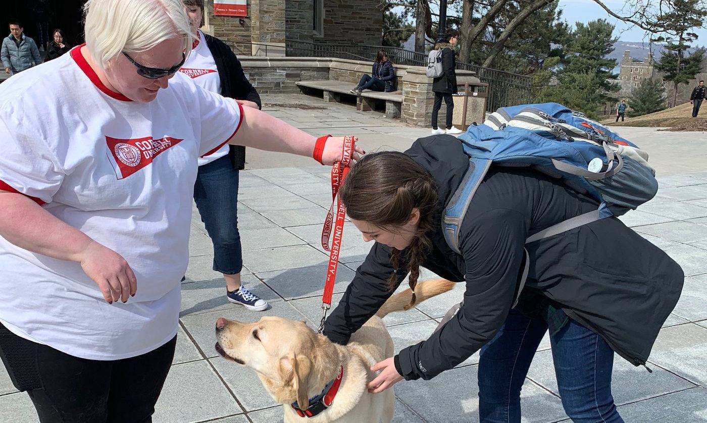 Liz O'Dell Wehling and her yellow lab “Yale” were posted outside the doors of Willard Straight Hall on Giving Day 2019, loving the job of greeting students.