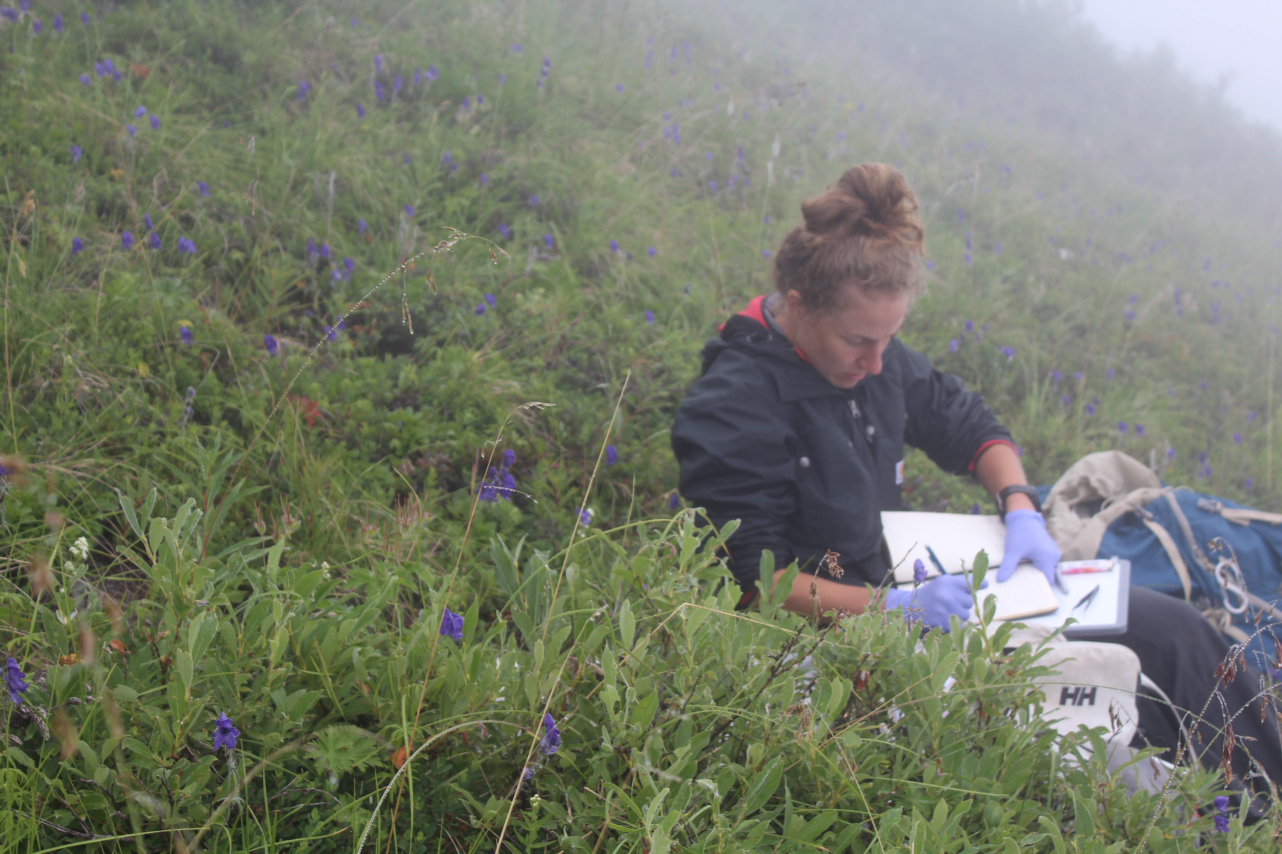 Elizabeth Lombardi in the field.