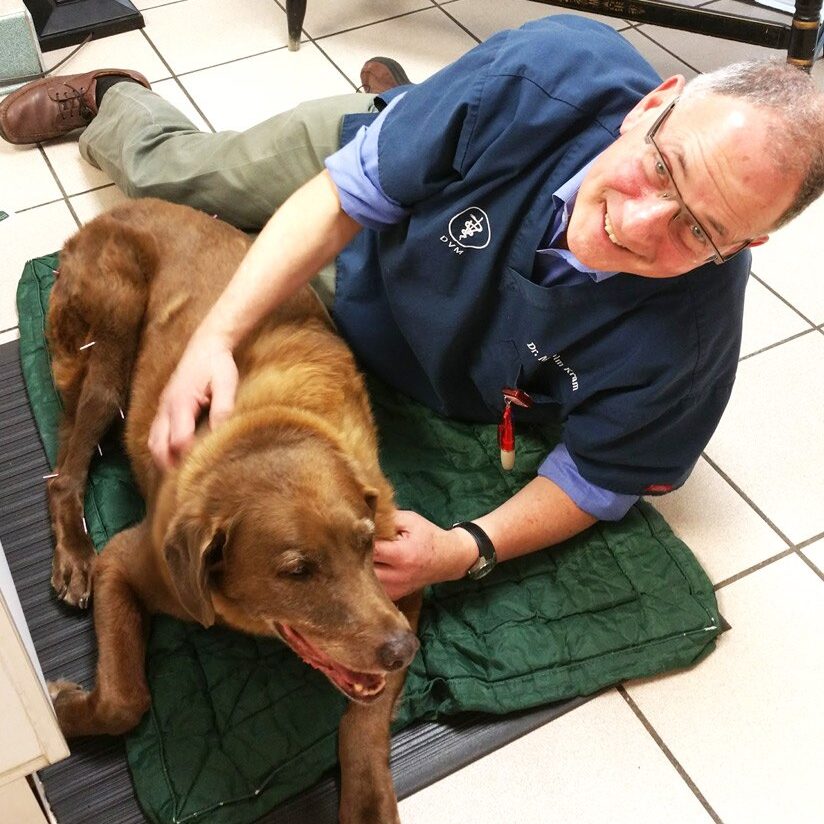 Malcolm Kram DVM ’74 at work in his veterinary practice.