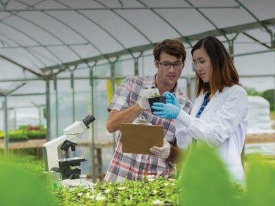 Researchers in a greenhouse.