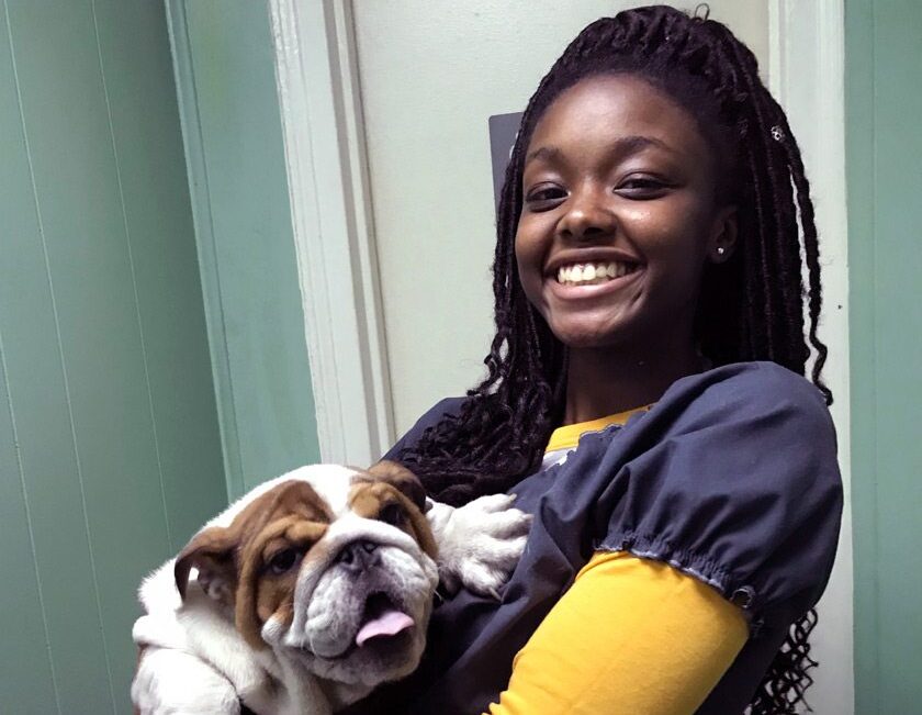 Aurora McKenzie ’21 volunteering at the Tri-Boro Animal Hospital in the Bronx, NY, where she helped with the initial screening of this bulldog puppy.