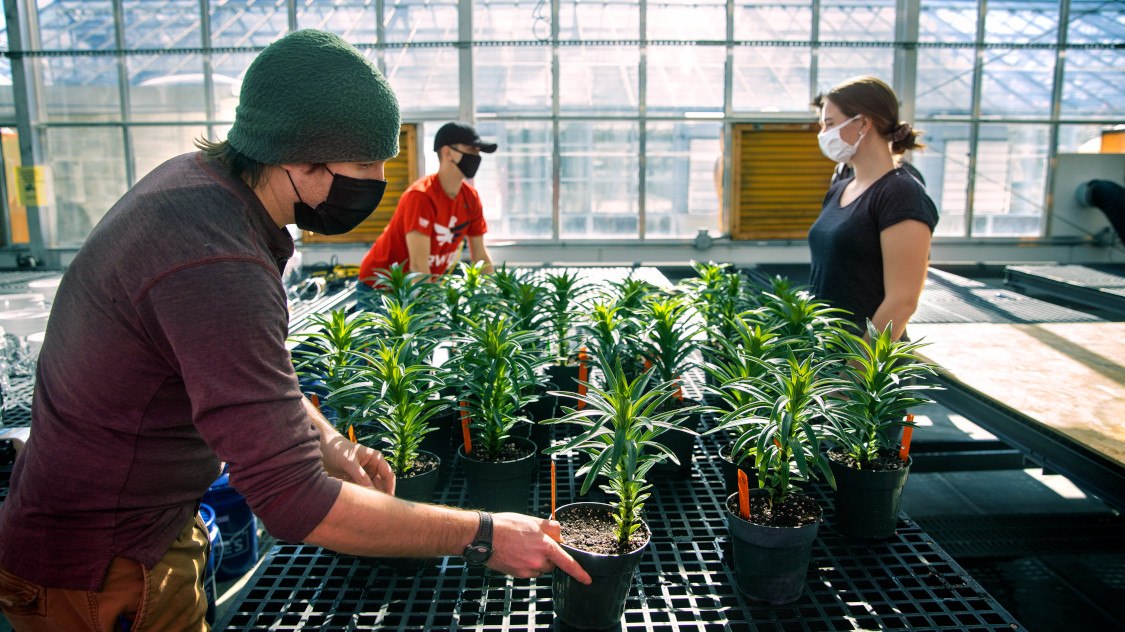 Students in William Miller's horticulture class