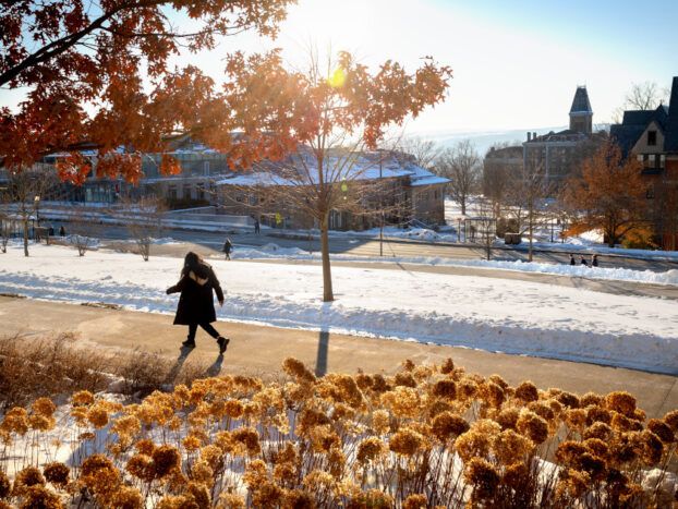 central campus, person walking in the sun