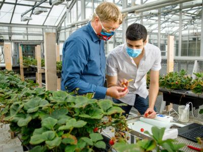 Researchers in a greenhouse
