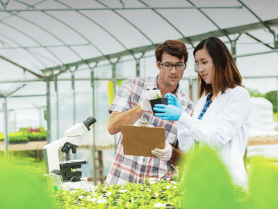 Researchers in a greenhouse.