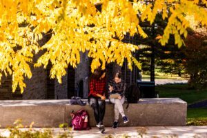 Students study outside