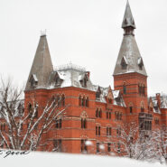 Snowy Sage Hall