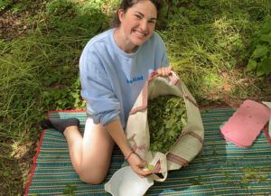 Abigail Boatmun picking and cleaning Tulsi at OJI:SDA’, a sustainable Indigenous farm, for use in a medicinal tea mix