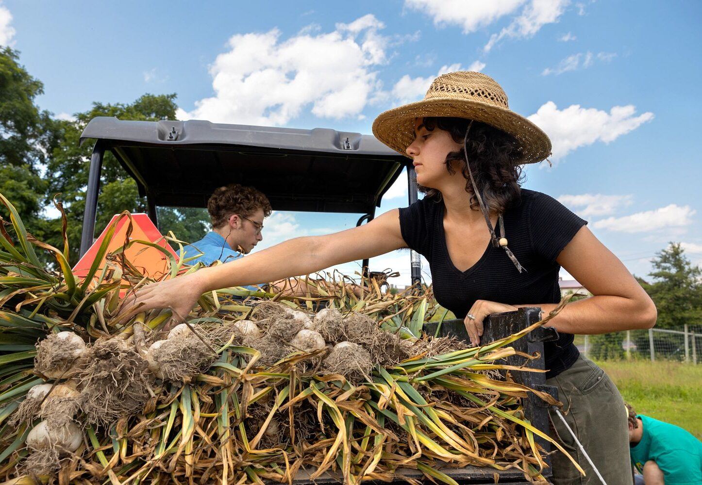 Students harvest plants at the Dlimun Hill Student Farm.