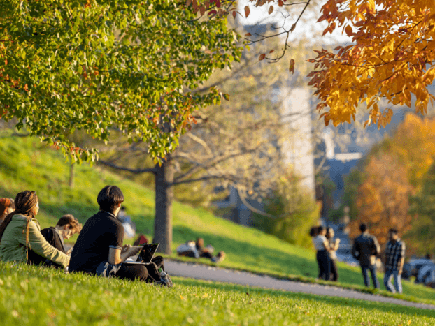 Students gather on Libe Slope on a fall day