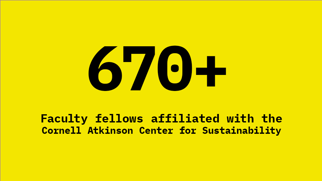 670 plus faculty fellows affiliated with the Cornell Atkinson Center for Sustainability