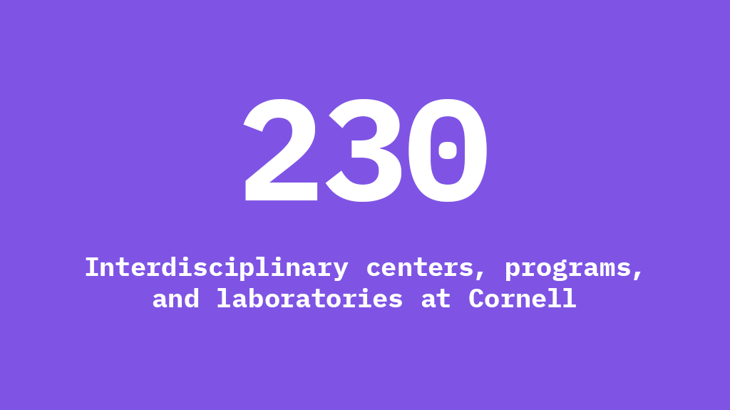 230 interdisciplinary centers, programs, and laboratories at Cornell