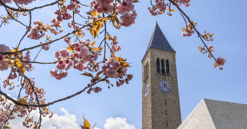 Scenes from around campus on a sunny spring day.