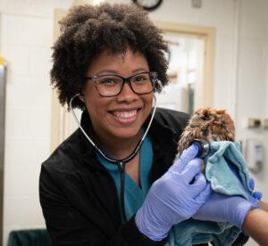 Alayzha Turner-Rodgers DVM ’24 treating an owl at the Cornell Janet L. Swanson Wildlife Hospital