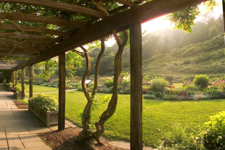 Cornell Botanic Gardens Annual Fund | Giving to Cornell | Cornell ...