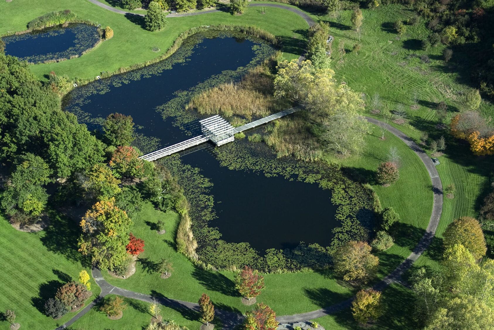 The F.R. Newman Arboretum from the air in fall, with Grossman Pond and Houston Pond.