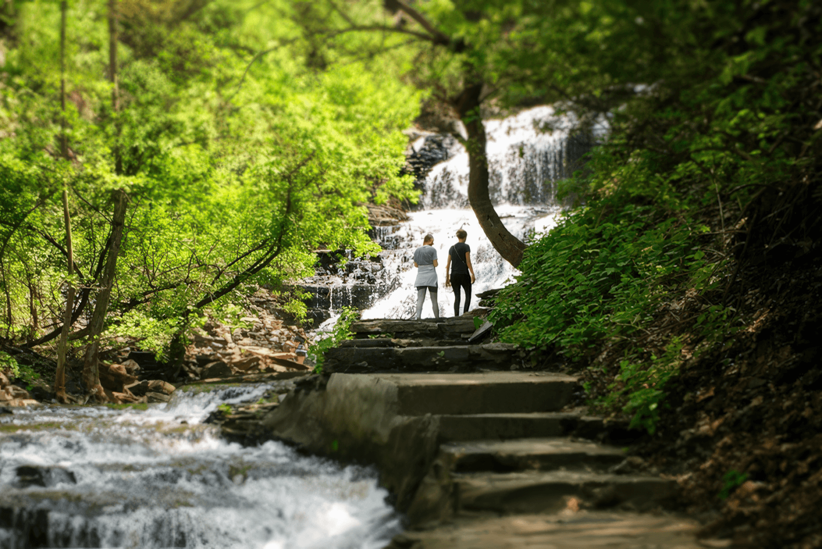 Summer walk through the Cascadilla Gorge Trail, lovingly maintained by the Cornell Botanic Gardens staff.