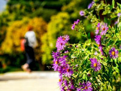 Cornell Botanic Gardens