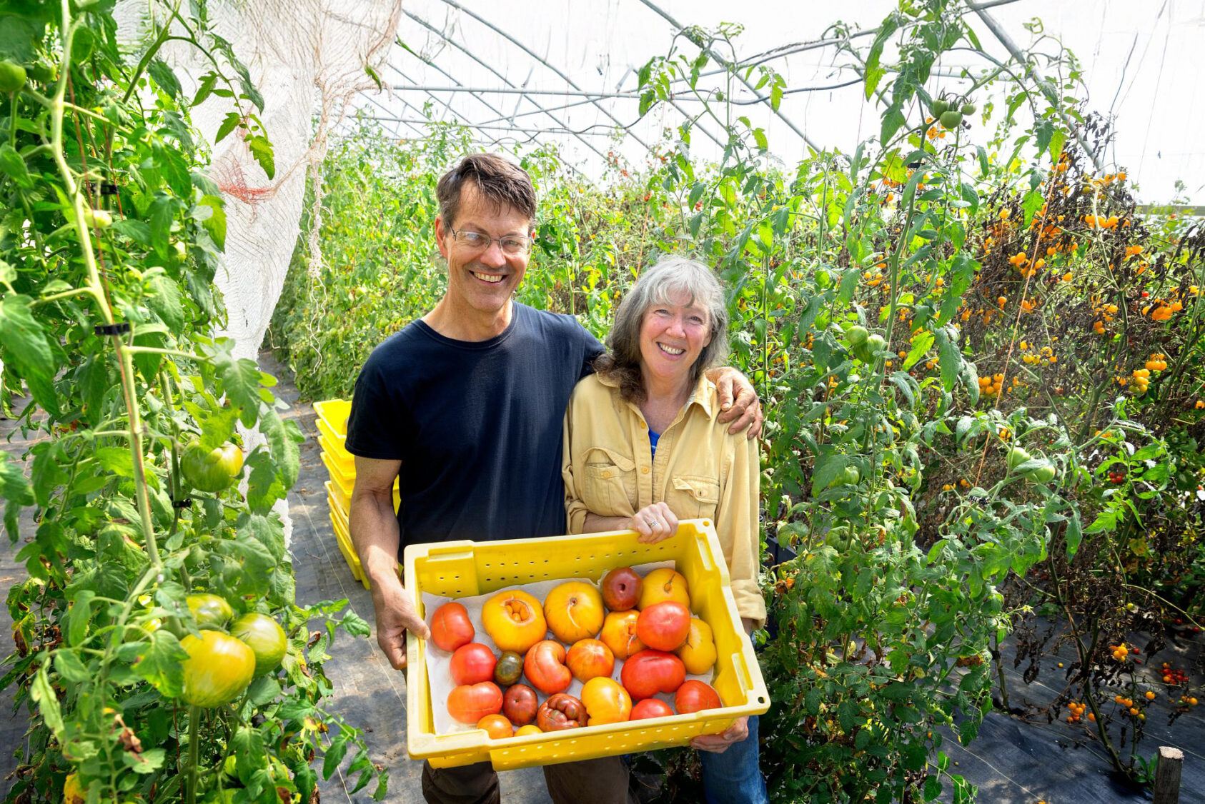 Doug Newman inspects heirloom tomatoes with Mary McGarry-Newman, his wife, in their greenhouse at Buried Treasures Organic Farm in Groton, New York.