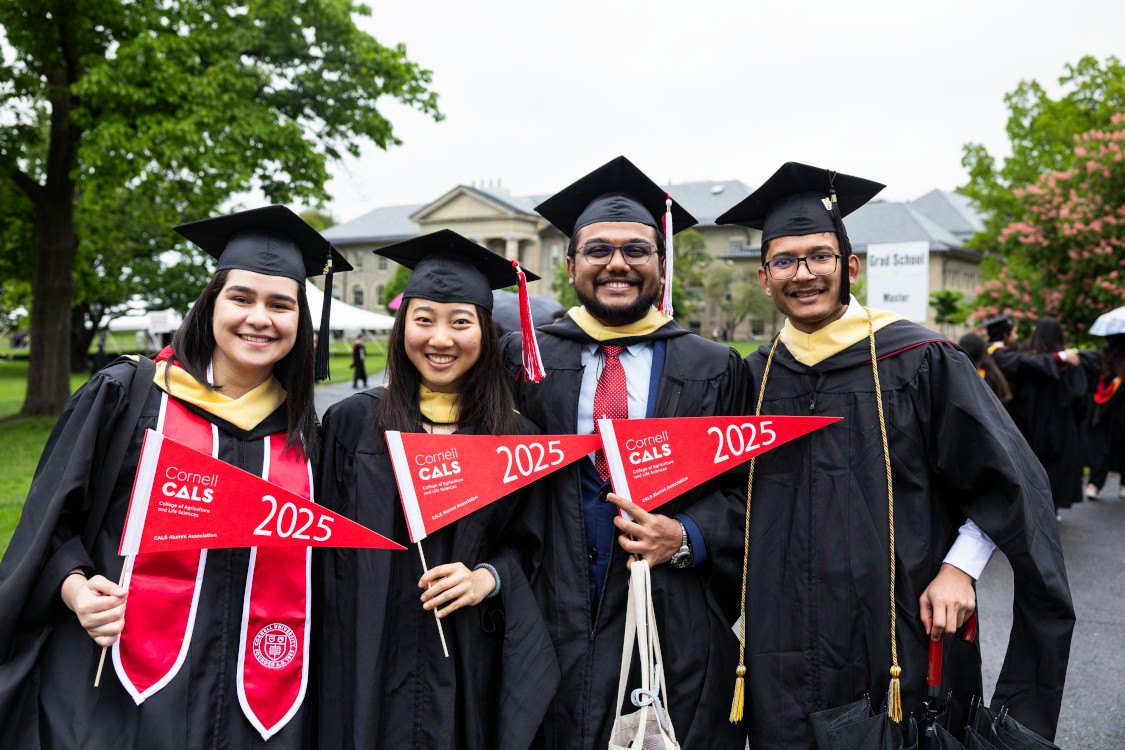 Members of the Cornell community celebrate Commencement on Saturday, May 24, 2025.