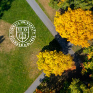 Arts Quad among fall colors preview