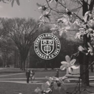 Spring mobile background