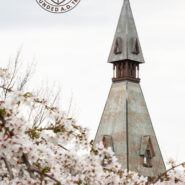 McGraw Tower in Spring mobile background
