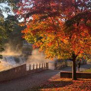 Autumn leaves surround Beebe Lake desktop background preview