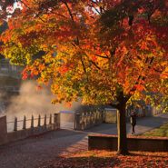 Autumn leaves surround Beebe Lake mobile background preview