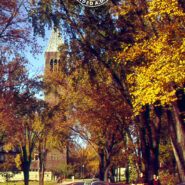 Central campus in the 1960s, later becoming Ho Plaza mobile background preview