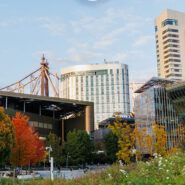 Cornell Tech's Roosevelt Island campus mobile background preview